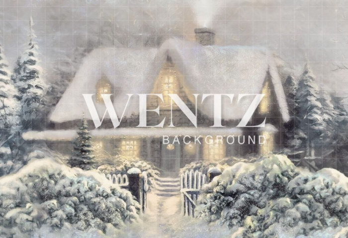 Fabric Photography Background Christmas 300x220 / Backdrop 2116 Save