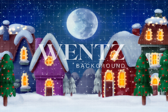 Fabric Photography Background Enchanted Christmas Village / Backdrop 2472