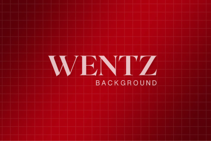 Fabric Photography Background Red  / Backdrop 2484