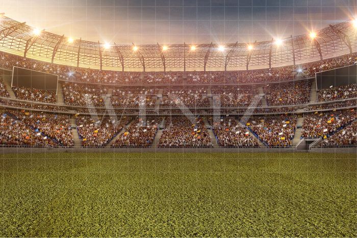 Fabric Photography Background Soccer World Cup / Backdrop 2509