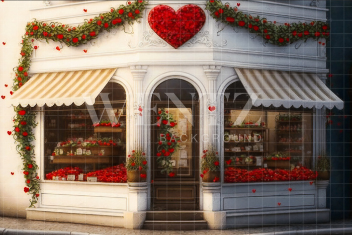 Fabric Photography Background Gift Shop / Backdrop 2850