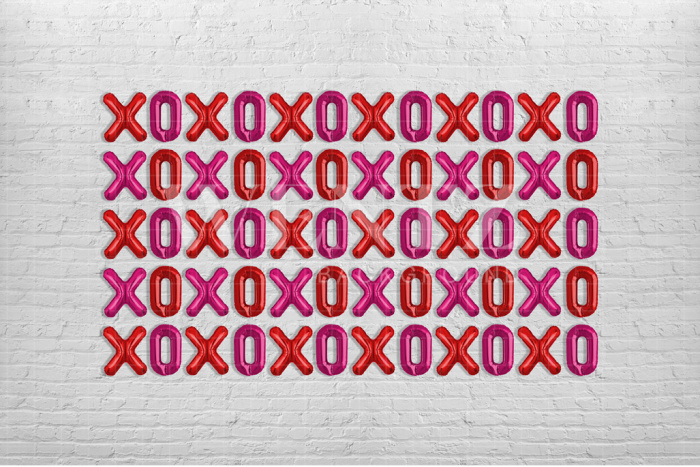 Fabric Photography Background Valentine's Day Panel / Backdrop 2854