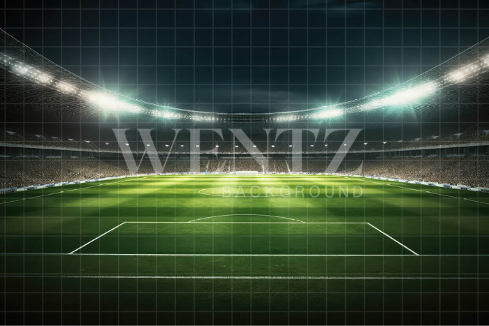 Fabric Photography Background Soccer Stadium / Backdrop 3256