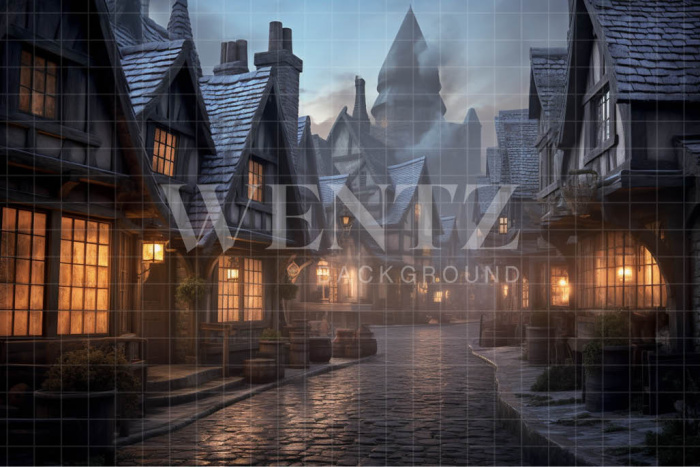 Fabric Photography Background Wizards Village / Backdrop 3478