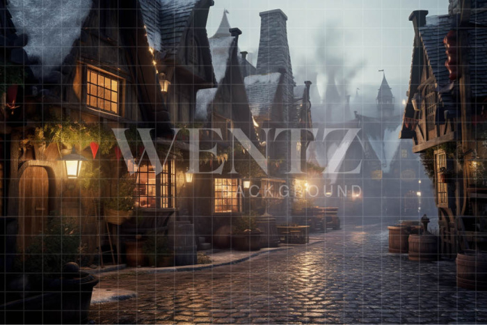 Fabric Photography Background Wizards Village / Backdrop 3479