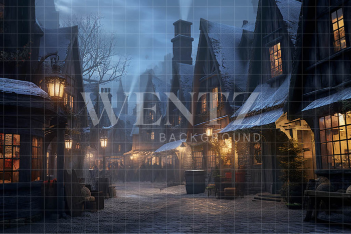 Fabric Photography Background Wizards Village / Backdrop 3480