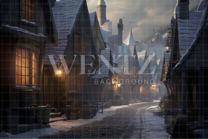 Fabric Photography Background Magic Village / Backdrop 3484