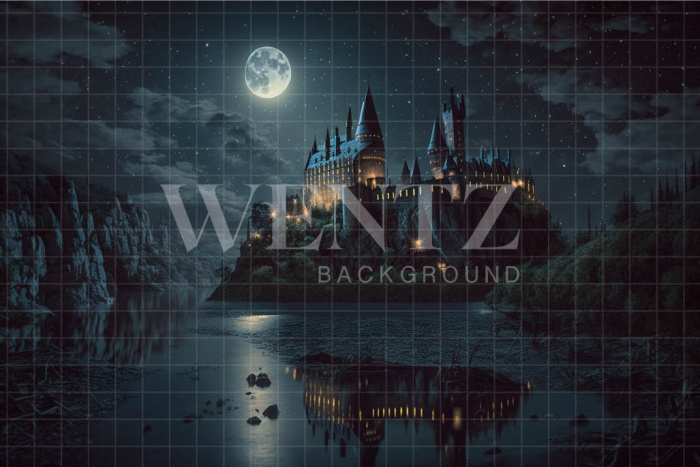 Fabric Photography Background Wizardry School / Backdrop 3492