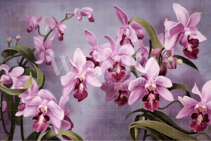 Fabric Photography Background Lilac Orchids / Backdrop 3560