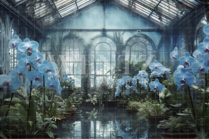 Fabric Photography Background Blue Orchids Greenhouse / Backdrop 3630