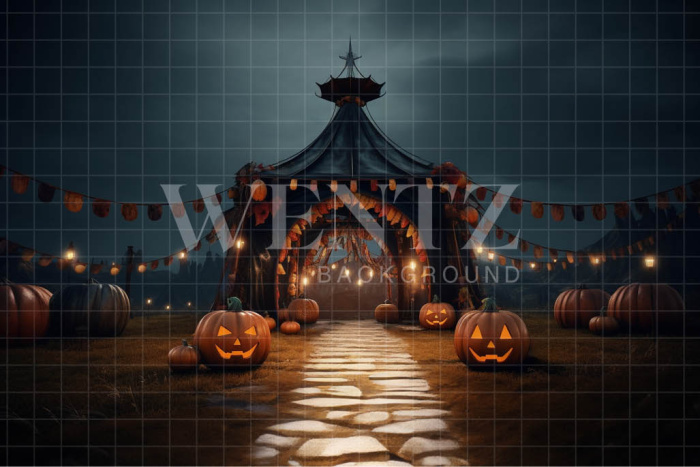 Fabric Photography Background Halloween Tent / Backdrop 3706