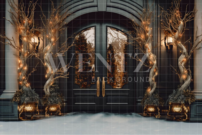 Fabric Photography Background Christmas Door / Backdrop 3843