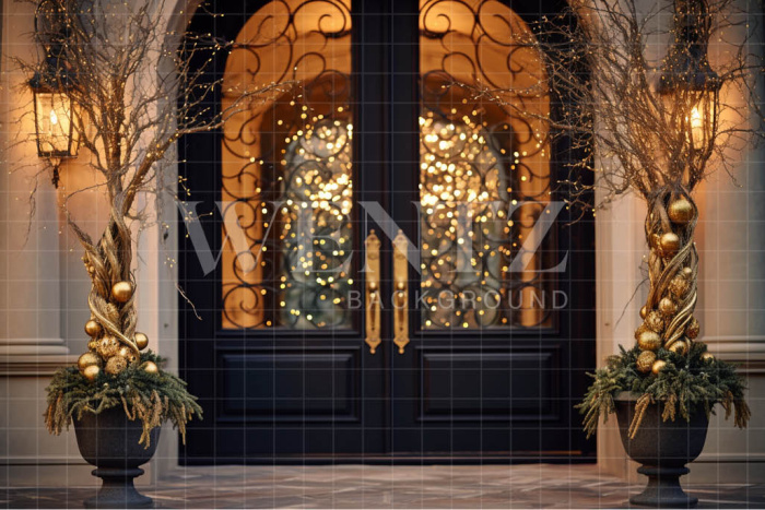 Fabric Photography Background Luxury Door / Backdrop 3848