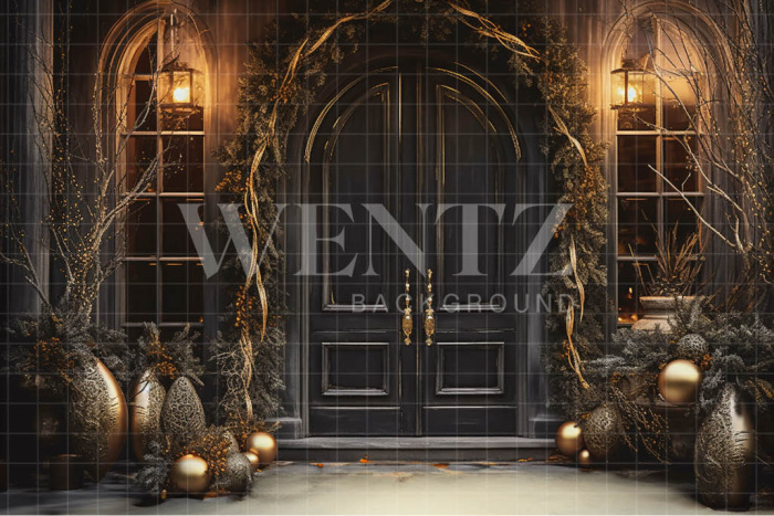 Fabric Photography Background Luxury Door / Backdrop 3849