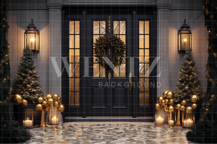 Fabric Photography Background Luxury Door / Backdrop 3851