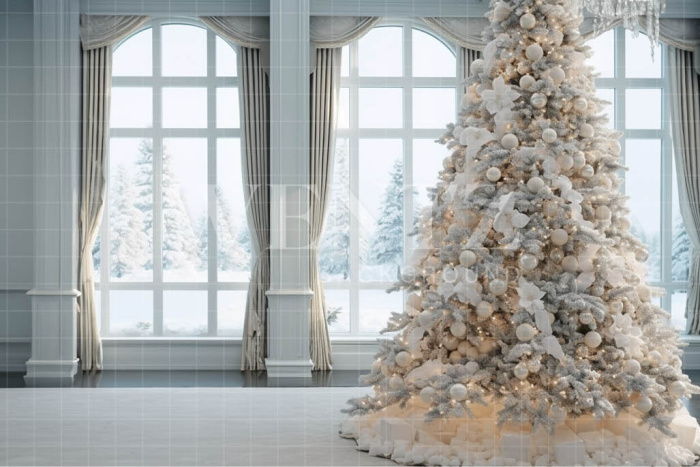 Fabric Photography Background Luxurious Room / Backdrop 3890