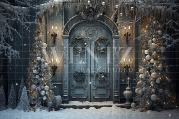 Fabric Photography Background Blue Door / Backdrop 4056