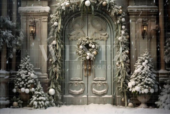 Fabric Photography Background Christmas Door / Backdrop 4081