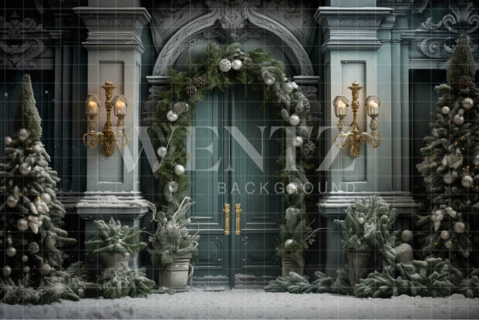 Fabric Photography Background Christmas Door / Backdrop 4083