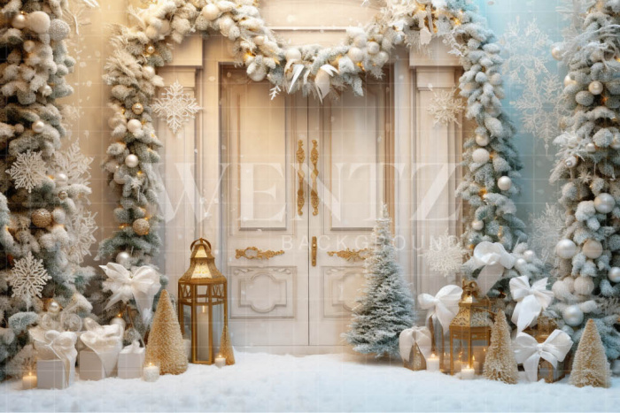 Fabric Photography Background Christmas Door / Backdrop 4093