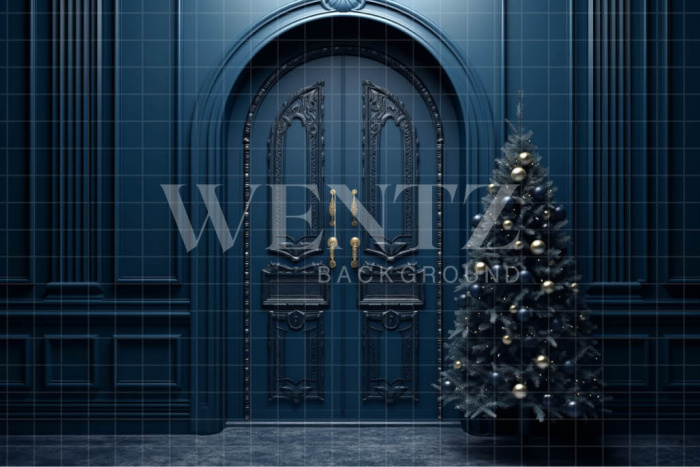Fabric Photography Background Blue Door / Backdrop 4119
