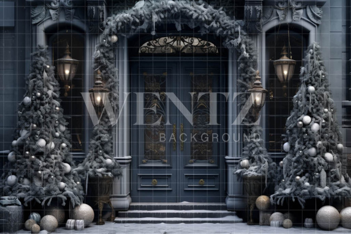 Fabric Photography Background Blue Door / Backdrop 4121