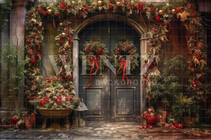 Fabric Photography Background Christmas Facade / Backdrop 4143