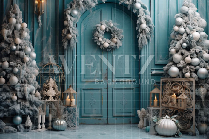 Fabric Photography Background Blue Door / Backdrop 4160