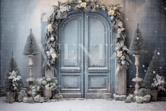 Fabric Photography Background Christmas Door / Backdrop 4169