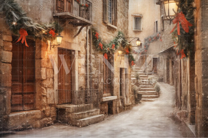Fabric Photography Background Christmas Village / Backdrop 4194