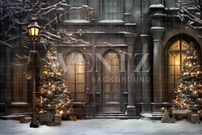 Fabric Photography Background Christmas Facade / Backdrop 4227