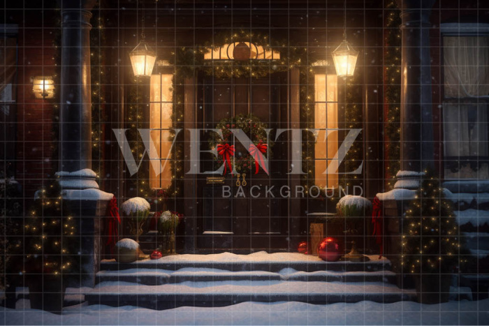 Fabric Photography Background Christmas Door / Backdrop 4274