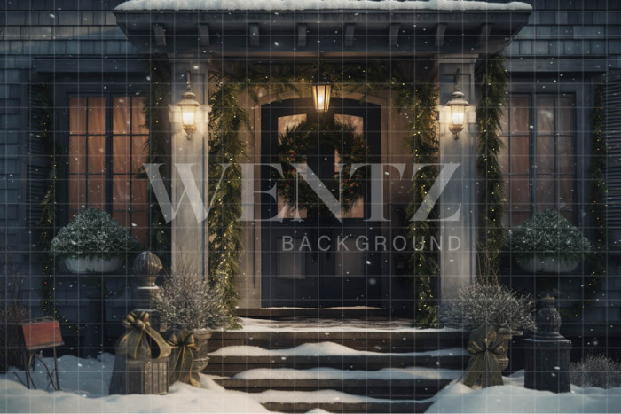 Fabric Photography Background Christmas Door / Backdrop 4275