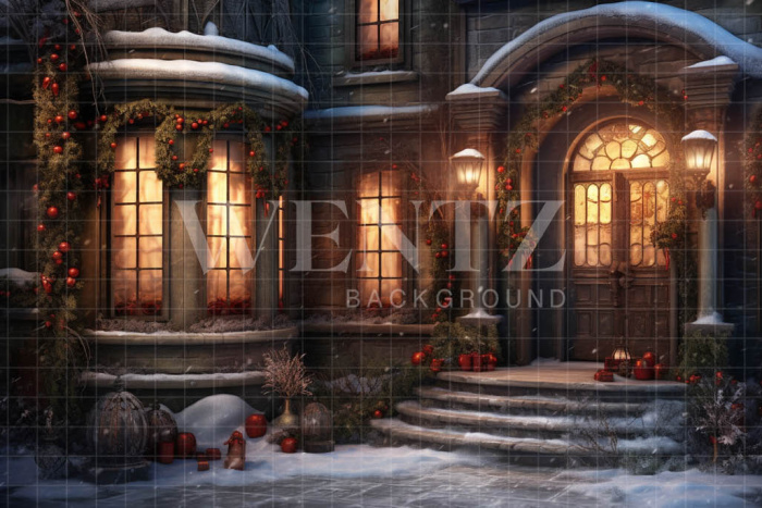Fabric Photography Background Christmas Facade / Backdrop 4299