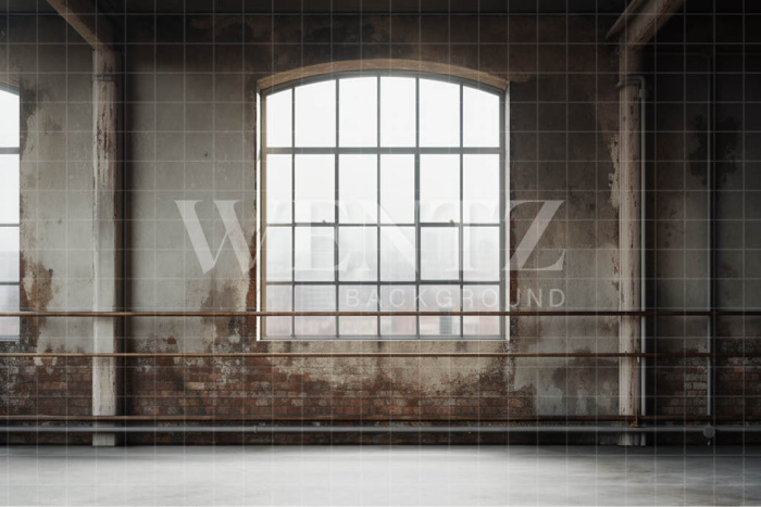 Fabric Photography Background Ballet Studio / Backdrop 4364