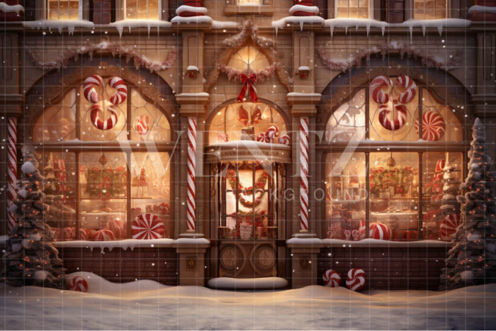 Fabric Photography Background Christmas Store / Backdrop 4443