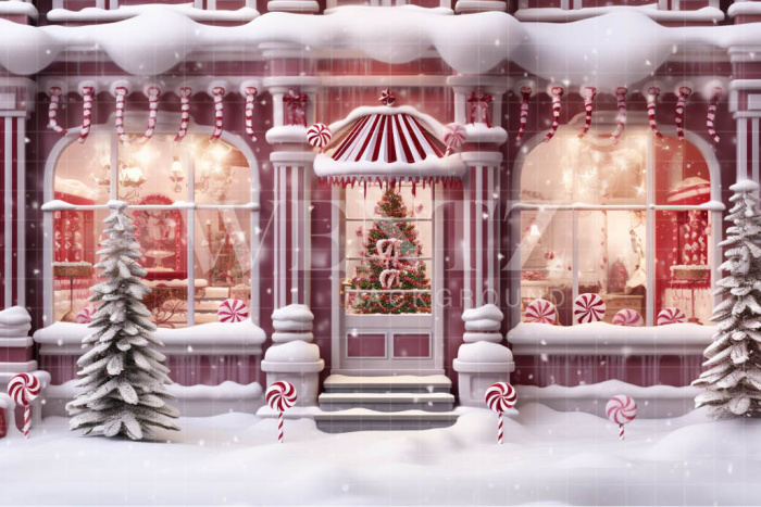 Fabric Photography Background Christmas Store Front / Backdrop 4445