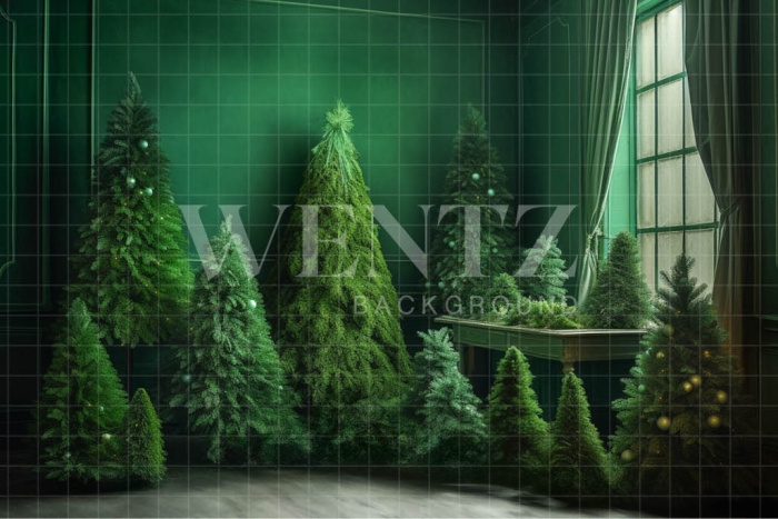 Fabric Photography Background Christmas Green Room / Backdrop 4567