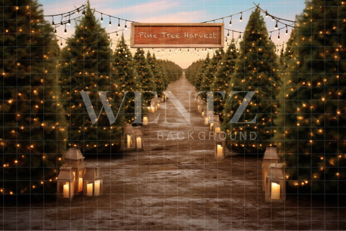 Photographic Background in Fabric Pine Tree Harvest / Backdrop 5074