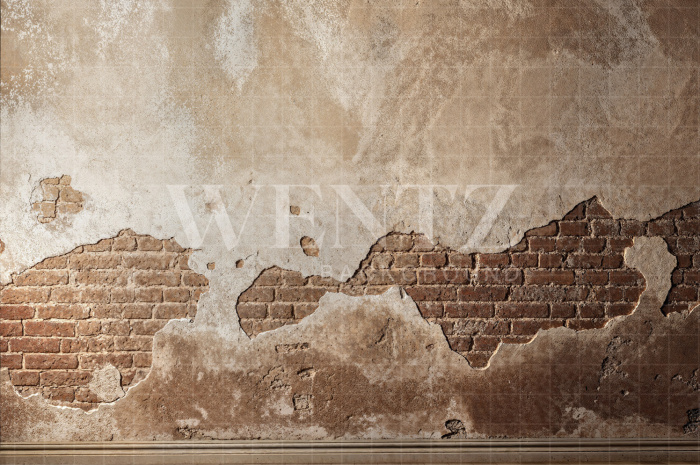 Fabric Photography Background Father's Day Brick Wall / Backdrop  7245