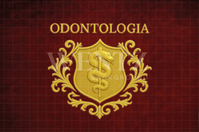 Fabric Photography Background  Dentistry Graduation / Backdrop 7940