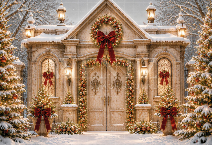 Fabric Photography Background Christmas House / Backdrop 8544