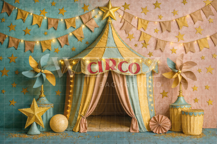 Fabric Photographic Background Children's Day Circus / Backdrop 7801