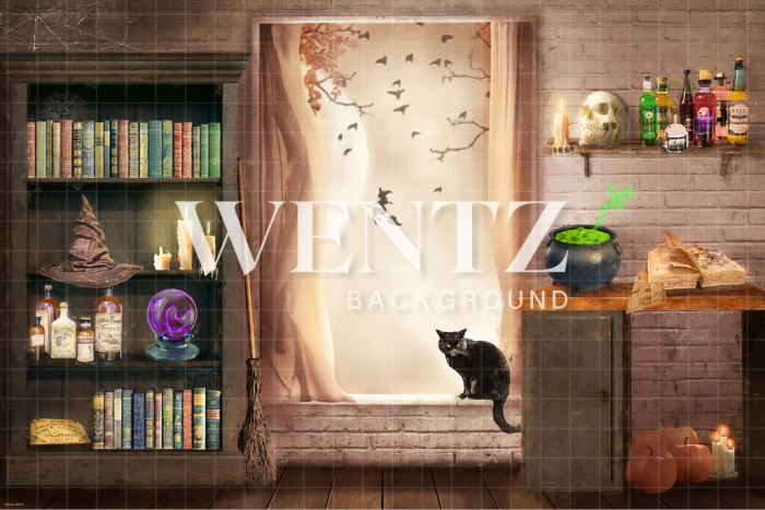 Fabric Photography Background Halloween Witch's Room / Backdrop CW156