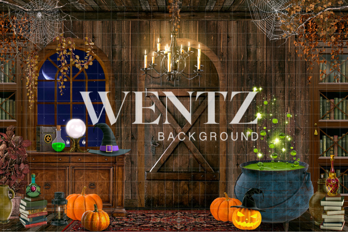 Fabric Photography Background Halloween Witch's Room / Backdrop CW157