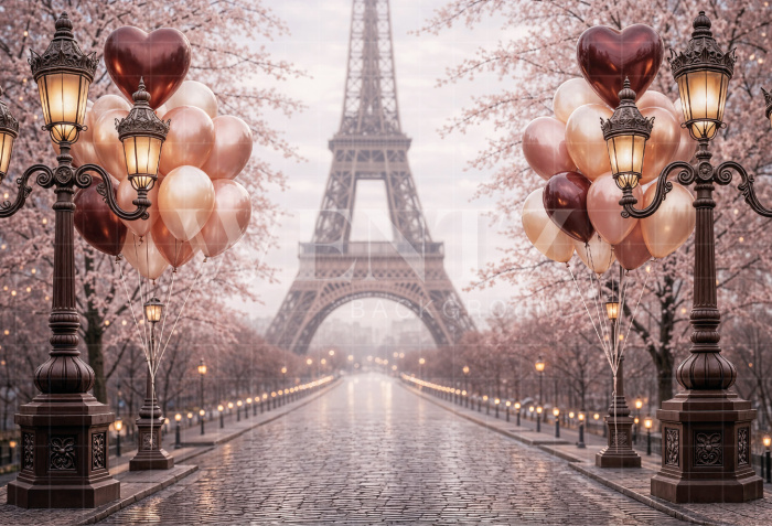 Fabric Photography Background Mother's Day Paris / Backdrop 8151