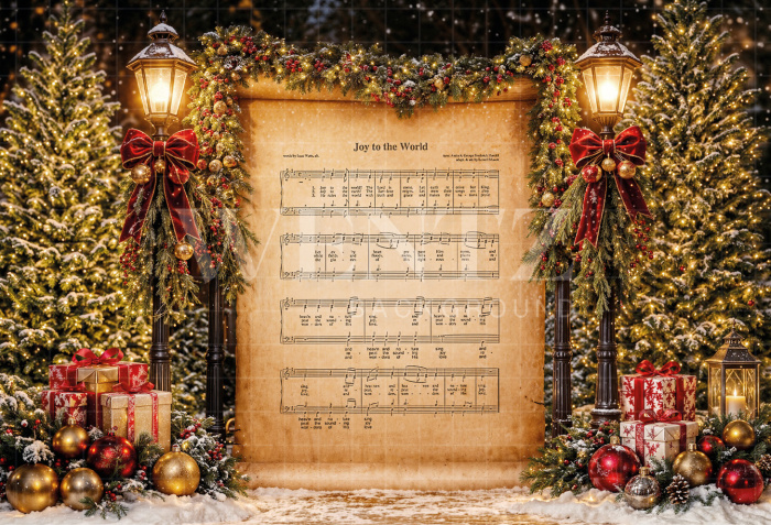 Fabric Photography Background Christmas / Backdrop 8519