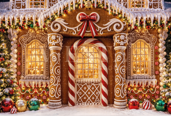Fabric Photography Background Christmas House / Backdrop 8523
