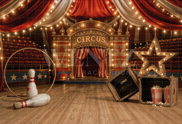 Fabric Photographic Background Children's Day Circus / Backdrop 8620