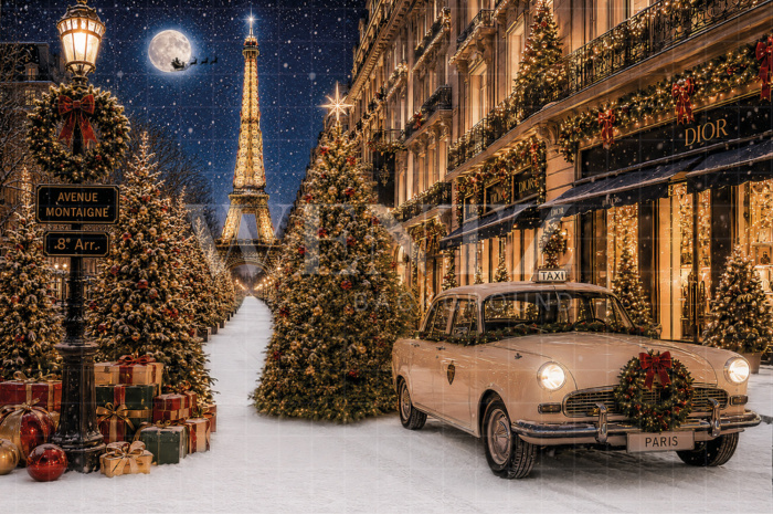 Fabric Photography Background Christmas Paris / Backdrop 8894